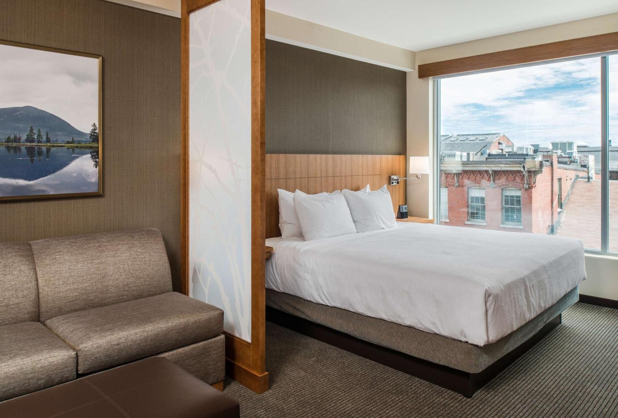 One-Bedroom King Suite with Sofa Bed